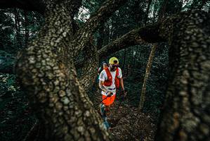 BIB: 
                            <button type="button" onclick="openModal(25685748)" class="btn btn-primary btn-sm float-right btn-popup" data-toggle="modal" data-target=".modal-high-quality">
                        <i class="fas fa-shopping-cart"></i> Add to Cart
                    </button>
                                            <button type="button" onclick="isThisMe(25685748, true)" class="btn btn-success btn-sm float-right btn-popup btn-isme hidden" data-toggle="tooltip" data-placement="bottom" title="นี่คือรูปของคุณใช่ไหม คลิกที่นี่เพื่อเอาเข้าอัลบั้ม">
                        <i class="fas fa-plus"></i> Add to album
                    </button>
                    <button type="button" onclick="isThisMe(25685748, false)" class="btn btn-warning btn-sm float-right btn-popup btn-isnotme hidden">
                        <i class="fas fa-ban"></i> Remove from album
                    </button>